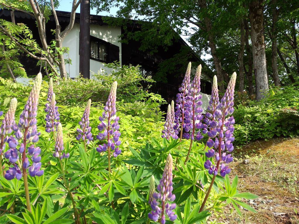 Villa Alp Bach Madarao Iiyama Exterior foto